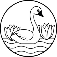 swan on the lake