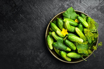 Fresh farm cucumbers, cucumber flowers and leaves in a metal vintage tray. Top view. Food concept.