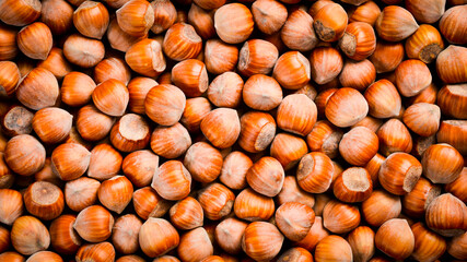 Hazelnut background. Organic healthy nuts. Close up.