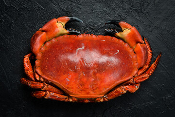 Close up of boiled red crab. Top view.