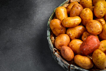Wooden tray with raw organic potatoes. Side view, close-up.