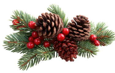 Christmas pine cone and berry festive decoration arrangement.