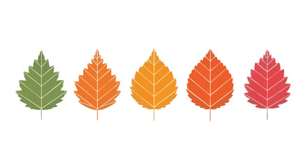 Five stylized autumn leaves in a gradient of colors from green to red, arranged horizontally on a white background.