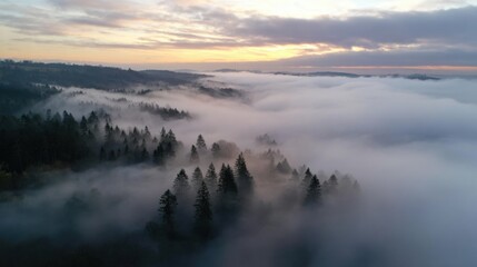 Drone Footage Of Treetop Islands In Foggy Sunrise
