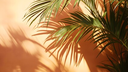 Fototapeta premium Sunlit palm leaves casting shadows on light orange wall