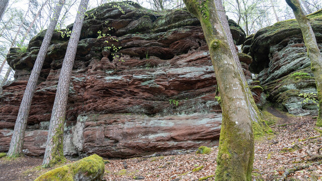 THe Nature of the Palatine Forest - Pfaelzer Wald in Germany. High quality photo