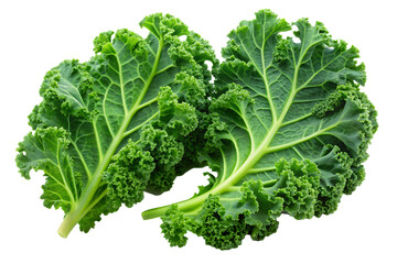 Two fresh green kale leaves isolated on white background png isolated on a transparent background