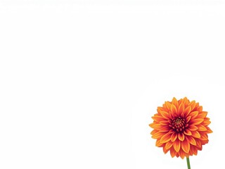 シンプルなデザインのダリアのイラスト