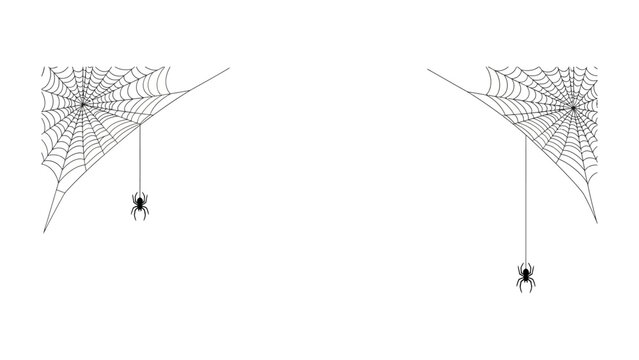 Spider Web art: A spooky graphic illustration of two spider webs with spider. Featuring unique art, perfect for all things Halloween. 