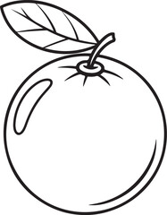 Vintage Style Orange Fruit with Leaf – Detailed Citrus Vector Drawing