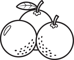 Trio of Oranges with Leaf – Minimal Black and White Citrus Vector