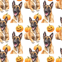 Seamless Pattern of  Cheerful Belgian Malinois dogs surrounded by bright pumpkins in a playful autumn design for seasonal decor