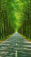 Fototapeta premium Serene country road lined with lush green trees, creating a picturesque tunnel of foliage.