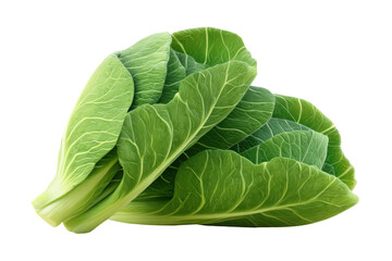 Obraz premium Fresh crisp green romaine lettuce leaves isolated on white background, cut out