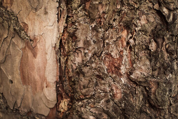 abstract background, wood, metal, textures