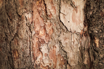 abstract background, wood, metal, textures