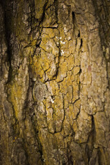 abstract background, wood, metal, textures