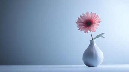 Photograph of a pink daisy in a gray vase against a monochromatic blue background.