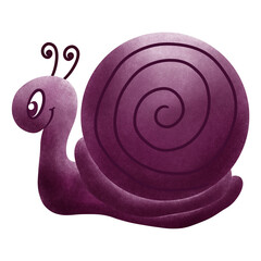 snail on a white