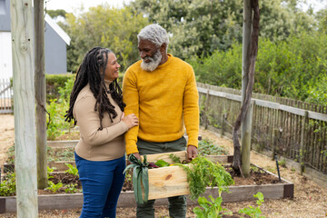 Senior African American couple harvesting fresh vegetables in backyard garden using wooden crate