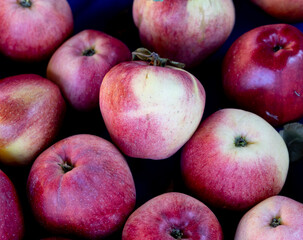A bunch of apples are on a table