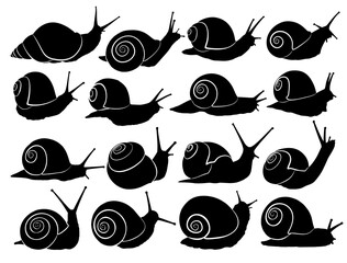 The set silhouettes of wild snails.
