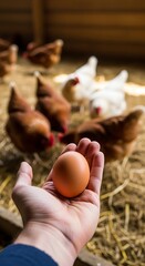 Freshly laid brown egg held in hand, surrounded by free-range chickens in a rustic henhouse.
