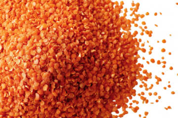 Close up view of vibrant orange lentils poured against a transparent background