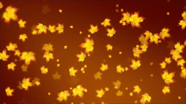 Falling maple leaves Autumn leaf fall, maple leaf rain Loop seamless endless cyclic looped Alpha channel transparent background 4K UHD 3840x2160