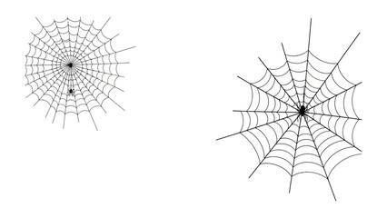 Obraz premium Spider Web's design: A detailed shot capturing the intricate beauty of two distinct spider webs, each a testament to nature's geometric precision and the spiders' skill in crafting their homes.