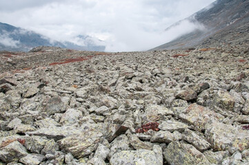 Landscape view of a stone river located in Akchan valley, Russian Federation, the Altai Republic