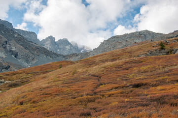 Akchan valley in late august with peaks of Kuyguk mountain pass in the background, the Altai Republic, Russian Federation