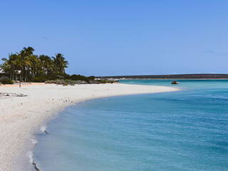Australian Beach with Palm Trees