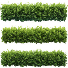 Green hedge bush rows in various styles