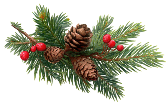 Christmas evergreen sprig with pine cones and red berries decoration. - Powered by Adobe