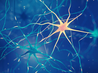 Neurons or human nerve cells. Generating new neurons in old or injured brains using genetic therapy