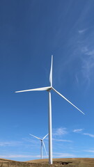 Fototapeta premium wind turbine in the field