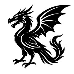 dragon bird vector on black and white concept