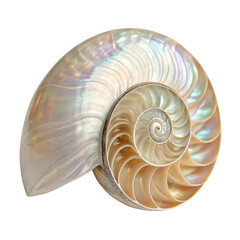 Nautilus shell cross section pearlescent iridescent isolated on a transparent background