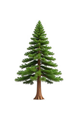 Obraz premium Full view of a stylized evergreen tree