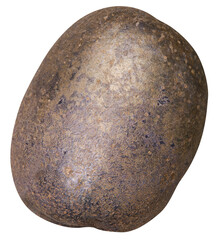 Dark Purple Shetland Black Potato Isolated