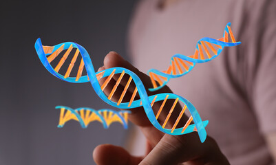 Close-up of a hand interacting with 3D DNA models.  Perfect for science, technology, and healthcare.