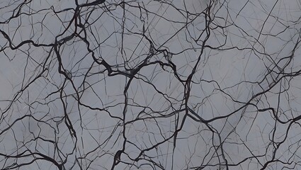 Fototapeta premium Abstract pattern of dark veins on a light gray textured background