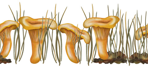 Seamless border with chanterelle mushrooms, hand painted in watercolor. Autumn still life. Suitable for books, packaging, cards, and children's clothing