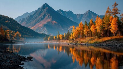 Autumnal mountain river reflects golden trees