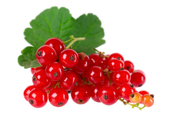 Red currant isolated on white background. Redcurrant or Ribes rubrum ripe berries with green leaves.