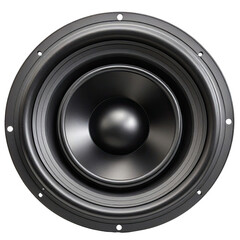 Large black speaker cone, detailed