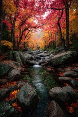 Autumnal forest stream. Lush fall foliage, vibrant reds, oranges, and yellows, cascading over rocky stream bed