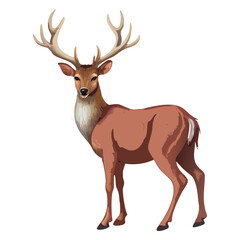 Deer  Clipart  Wild Animal Transparent Background Illustration. Deer vector , Deer design, Deer logo, Deer icon, Deer concept, Deer template, Deer topics Deer art, Deer cartoon.