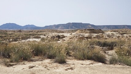 Bardenas Reales in Navarre, Spain, features a semi-desert landscape with arid terrain and sparse vegetation. The foreground displays rugged, eroded soil formations with patches of hardy grasses 
